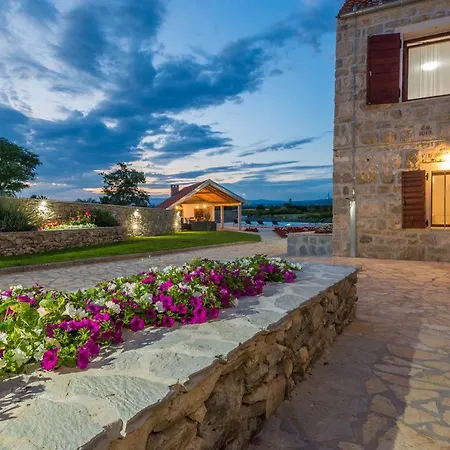 Vila Marko فيلة *